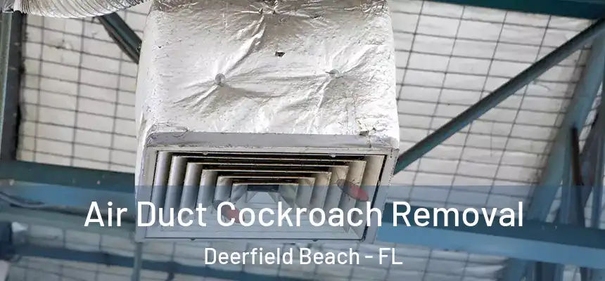 Air Duct Cockroach Removal Deerfield Beach - FL