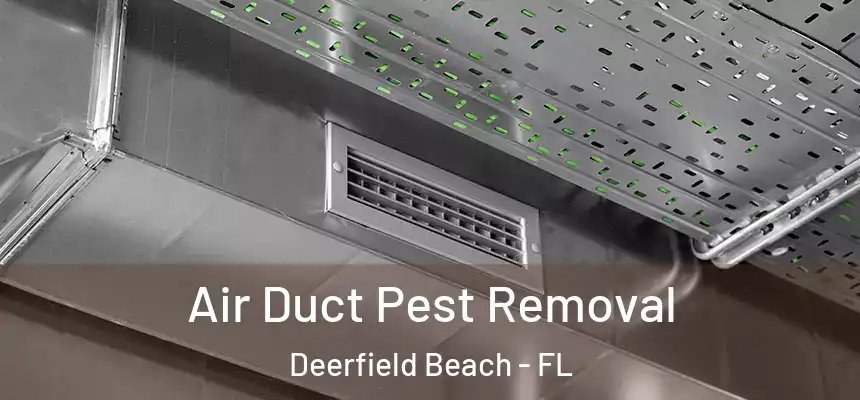 Air Duct Pest Removal Deerfield Beach - FL