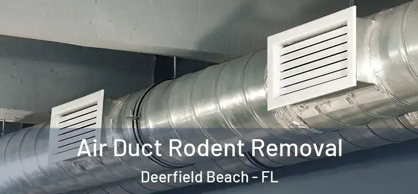 Air Duct Rodent Removal Deerfield Beach - FL
