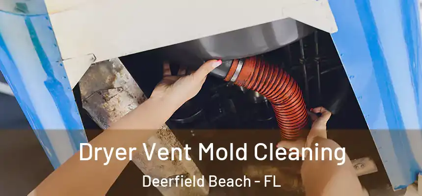 Dryer Vent Mold Cleaning Deerfield Beach - FL