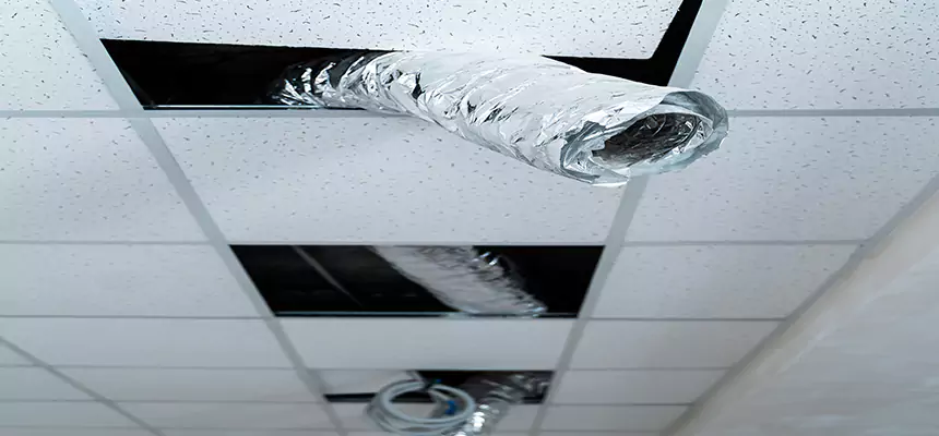 Our Air Duct Pet Hair Removal Services in Deerfield Beach, FL