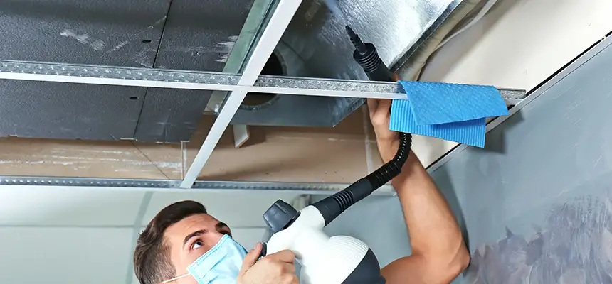 Our Air Duct Rodent Removal Services in Deerfield Beach, FL
