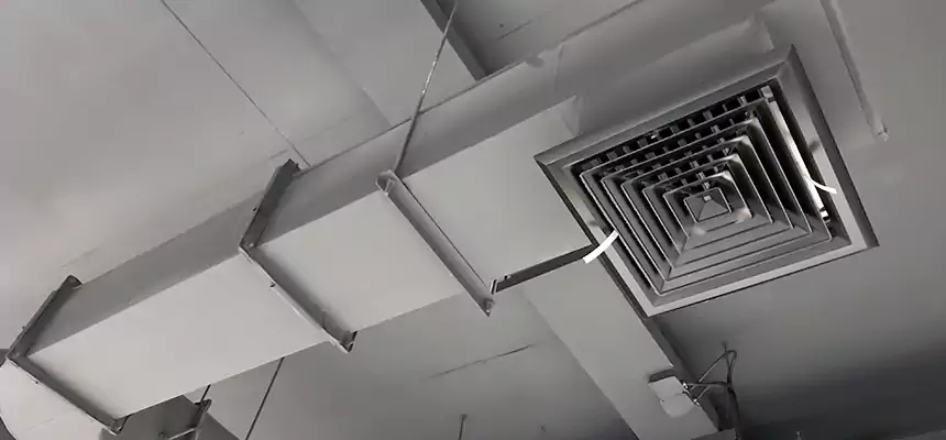 Our Pest Removal From Ducts Services in Deerfield Beach, FL