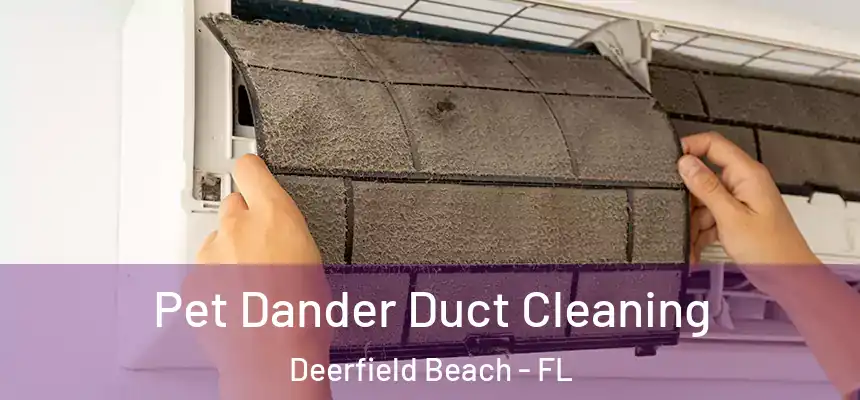 Pet Dander Duct Cleaning Deerfield Beach - FL