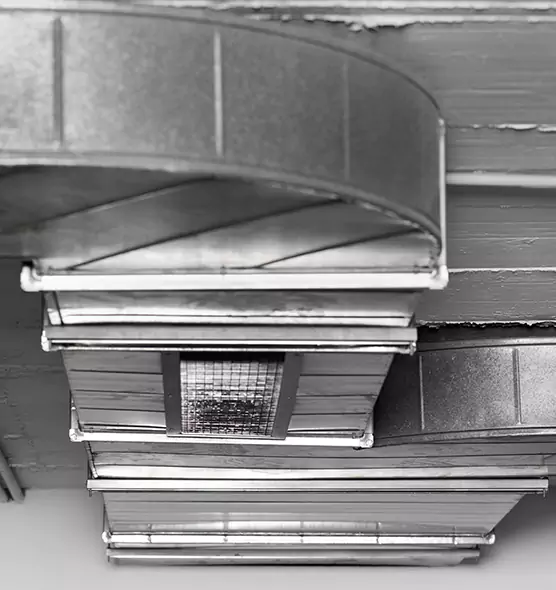 Professional Air Duct Pet Hair Removal in Deerfield Beach, FL