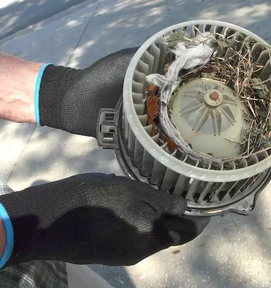 About Air Duct Rat Removal in Deerfield Beach, FL