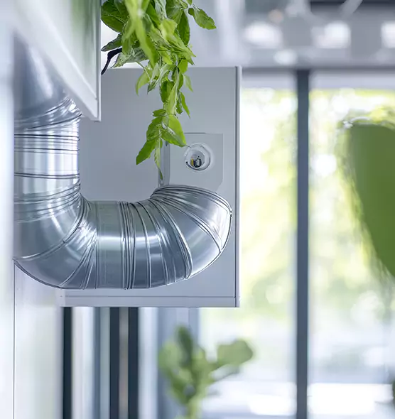 Professional Eco-Safe Dryer Vent Cleaning in Deerfield Beach, FL