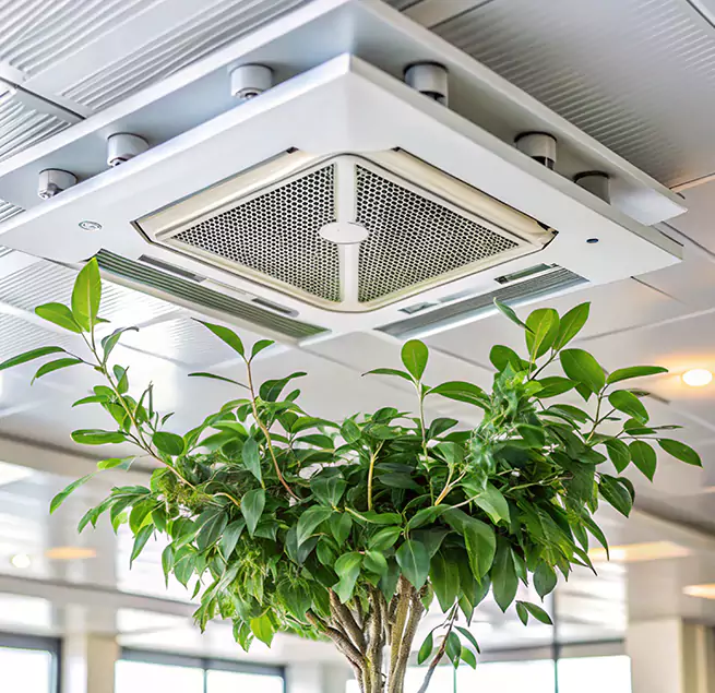 Why Homeowners & Businesses Trust Us in Deerfield Beach, FL?