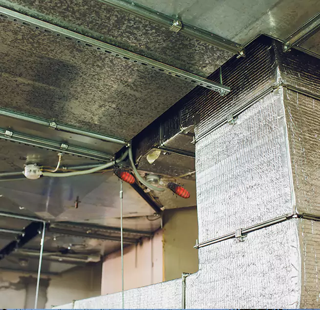 Why Homeowners & Businesses Trust Us Deerfield Beach, FL?